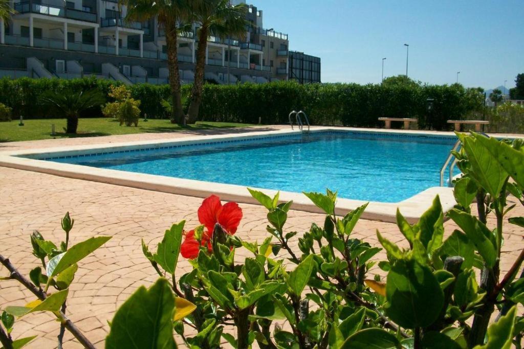 Oasis Hoyo 12 - Oliva Nova Playa Met&Golf公寓 外观 照片